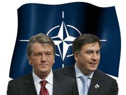 Украину и Грузию в НАТО не берут