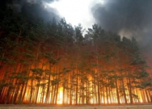 В России зарегистрирован первый в этом году лесной пожар — в Забайкалье 