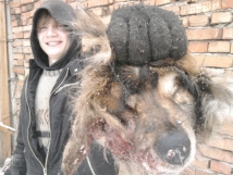 22-летнего изверга, разместившего «Вконтакте» фото отрубленной им головы собаки, не могут наказать 