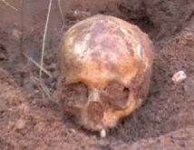 На северо-востоке Москвы нашли череп человека 