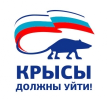 Жители Владивостока настаивают на своей версии эмблемы для партии «Единая Россия» 