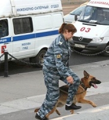 На севере Москвы в жилом доме кинолог с собакой ищет бомбу 