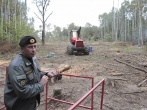 Чоповцы избили защитников Химкинского леса. Тяжелые травмы получили два активиста 