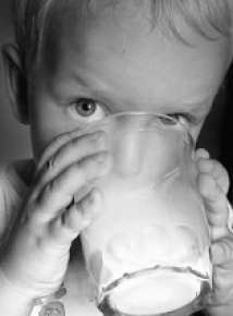 Ребенок заразился энцефалитом, выпив сырое козье молоко