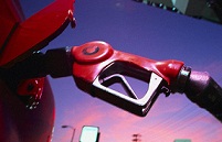 Запретительные пошлины на бензин могут продлить на июнь