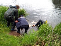 В пруду в Измайловском парке обнаружено тело мужчины