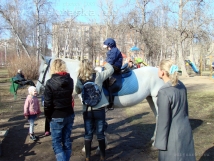 Взбесившаяся лошадь в Москве тяжело ранила трех женщин 