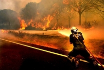 МЧС: из-за засухи площадь природных пожаров в Сибири растет 