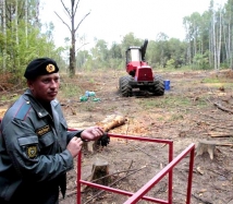 Грубые нарушения обнаружили защитники Химкинского леса на стройке трассы