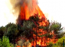 МЧС РФ: в 19 регионах чрезвычайная пожарная опасность 