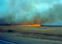 Лесостепной пожар в Волгоградской области будут тушить всю ночь
