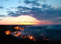В Волгоградской области ветер раздувает гигантский лесостепной пожар 