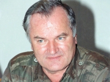 Младич просит не дробить его дело