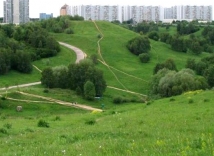 Ущерб на 11 млн рублей нанесен парку на северо-западе Москвы 