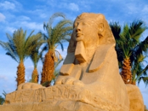 Новые власти не пустят в Египет туристов-одиночек 