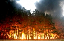 Более 600 га леса горит на территории Сибири