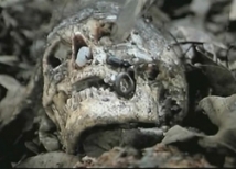 На тропическом острове обнаружили останки немецкого яхтсмена, съеденного каннибалами 