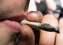 Половина американцев хочет легализовать марихуану