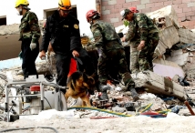 Землетрясение в Турции: 575 погибших, 2608 пострадавших 