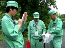 Радиоактивный цезий обнаружен в японском рисе 
