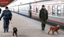 До 27 ноября все «Невские экспрессы» будут проверяться полицией 