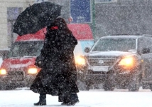 Ураганный ветер в Москве может повалить деревья и повредить авто 