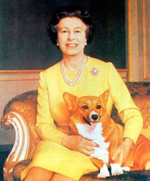 Умерла собака английской королевы 
