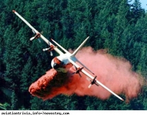 Силами Минобороны потушено 150 очагов лесных пожаров в Амурской области