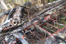 Останки тел погибших вывезены с места крушения Ан-2 и отправлены на экспертизу 