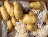 Россельхознадзор запретил поставки картофеля из Евросоюза 