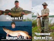Путин выловил «чуровскую щуку» — отмечают бывалые рыбаки 