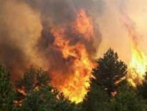 На Майорке из-за лесных пожаров эвакуированы более 700 человек 