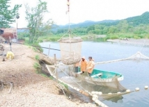 Браконьеров, добывших полтонны рыбы и 200 кг икры, поймали на Сахалине 