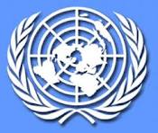 Генсек ООН против военной операции в Сирии без санкции организации 