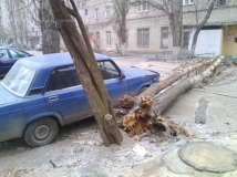 Десятки деревьев и фонарный столб повалил ураган в Москве вчера вечером 