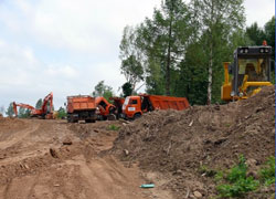 ОБЩЕСТВЕННОСТЬ ПОДДЕРЖАЛА ВЫРУБКУ 