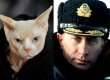 Foreign Policy: если не Путин, то лысый кот