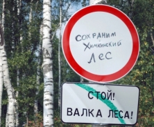 Обман на строительстве трассы через Химкинский лес повсюду