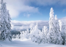 В Подмосковье похолодает до минус 29 градусов