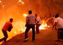 В Афинах манифестанты подожгли банк 