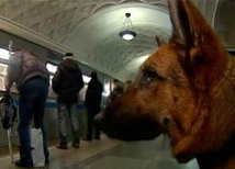 Московскую полицию предупредили о готовящемся сегодня теракте в метро  