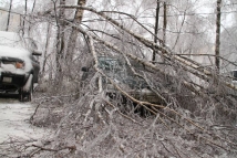 Москвичей предупреждают об «оранжевом» уровне опасности из-за сильного ветра 