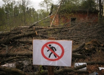 Прорубили просеку и окно в Европу