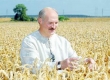 Лукашенко смирился с поражением