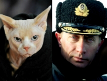 Foreign Policy: если не Путин, то лысый кот